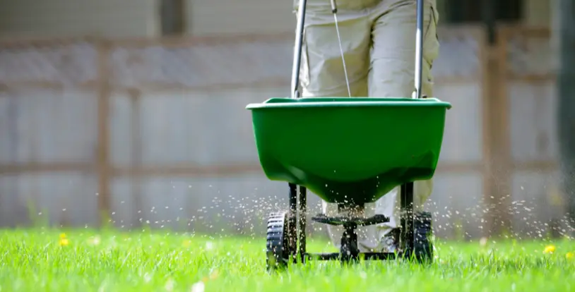 Fertilization Weed Control